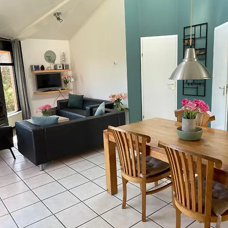 Zeester 292 * Julianadorp